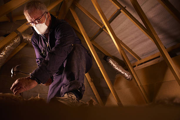 Best Insulation Installation Services in Owingsville, KY