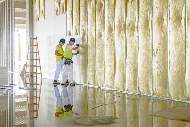 Best Insulation for Specific Applications in Owingsville, KY